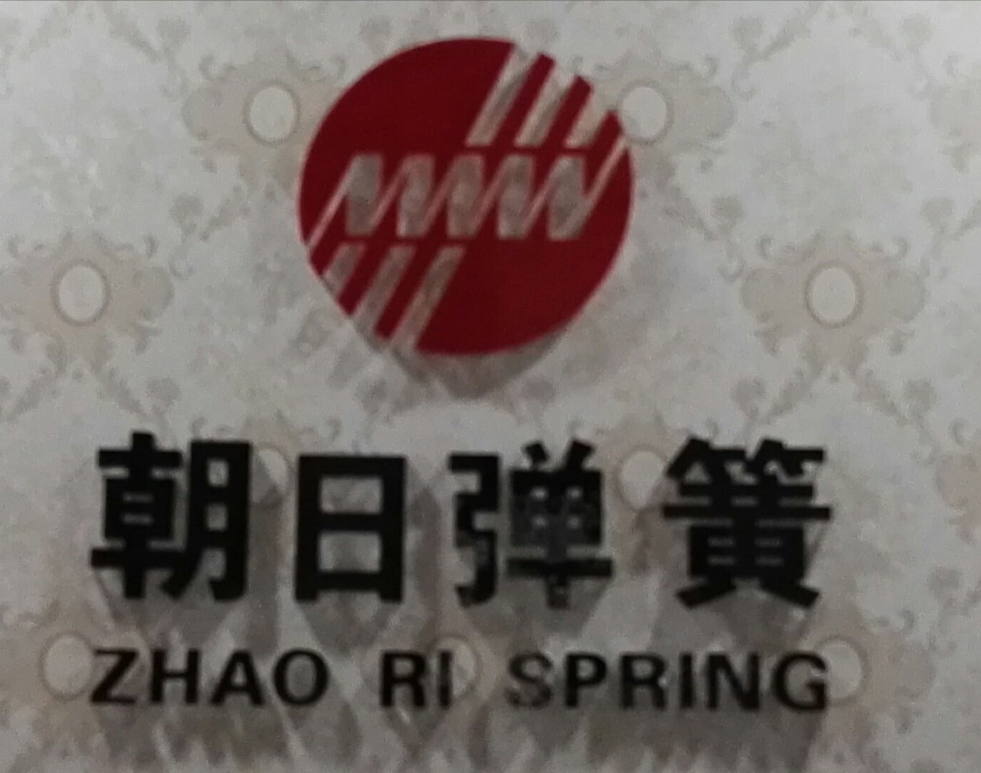 浙江諸暨朝日彈簧有限公司